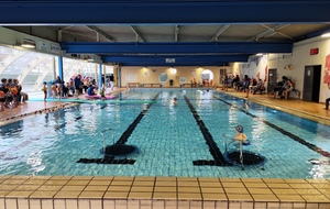 Animation Ecole de Natation